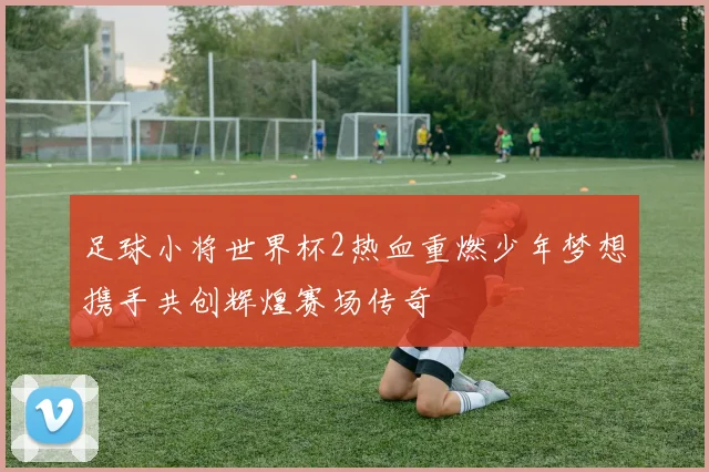 足球小将世界杯2热血重燃少年梦想携手共创辉煌赛场传奇
