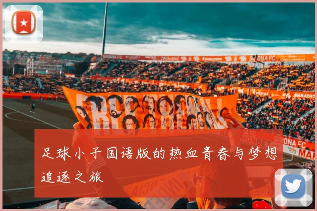 足球小子国语版的热血青春与梦想追逐之旅
