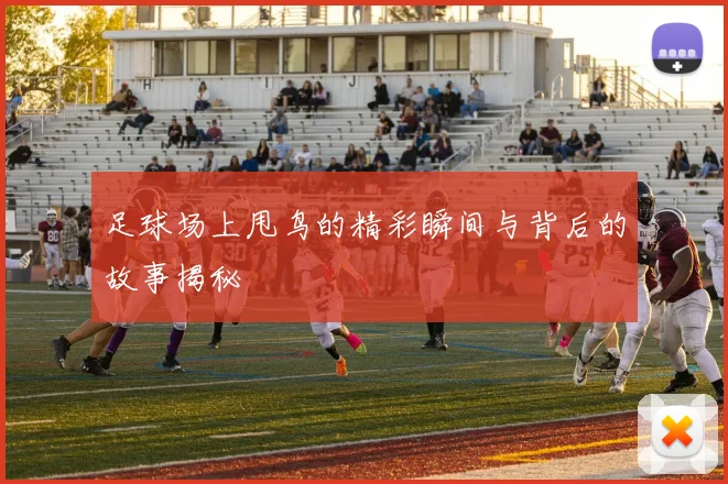足球场上甩鸟的精彩瞬间与背后的故事揭秘