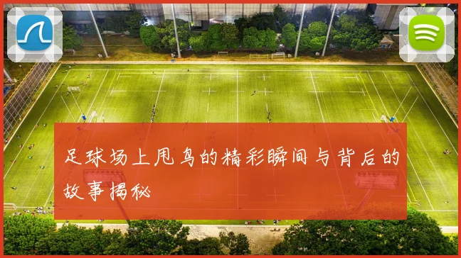 足球场上甩鸟的精彩瞬间与背后的故事揭秘