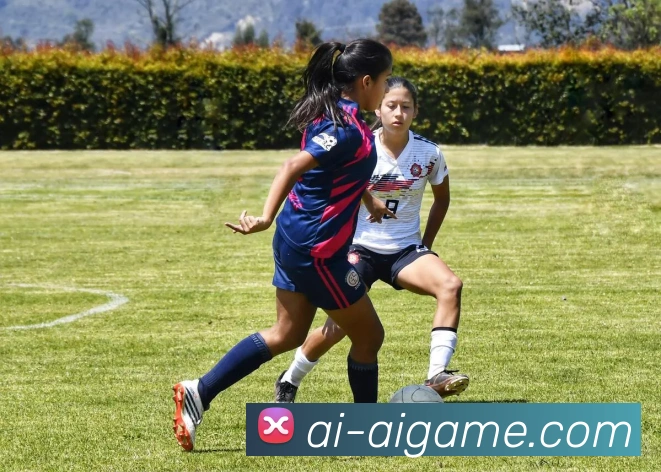 爱游戏服务体系